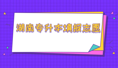 湖南專升本填報(bào)志愿