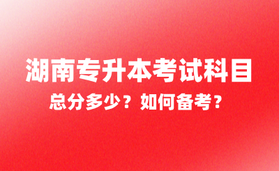 2025年湖南專升本考試科目總分多少？如何備考？